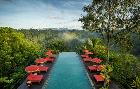 Buahan A Banyan Tree Escape