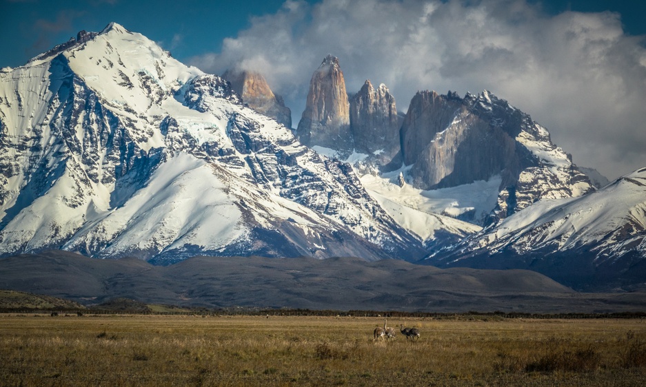 Patagonia Park & Wildlife