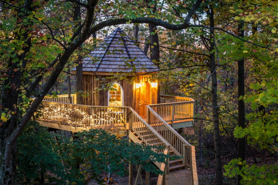 The Mohicans Tree House Resort - The Nest Treehouse