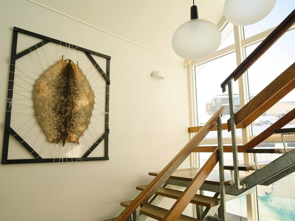 Hotel Icefiord - Reception & a Framed Sealskin