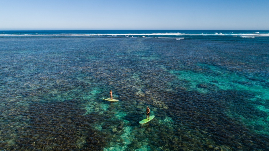 Ningaloo Reef Paddleboard