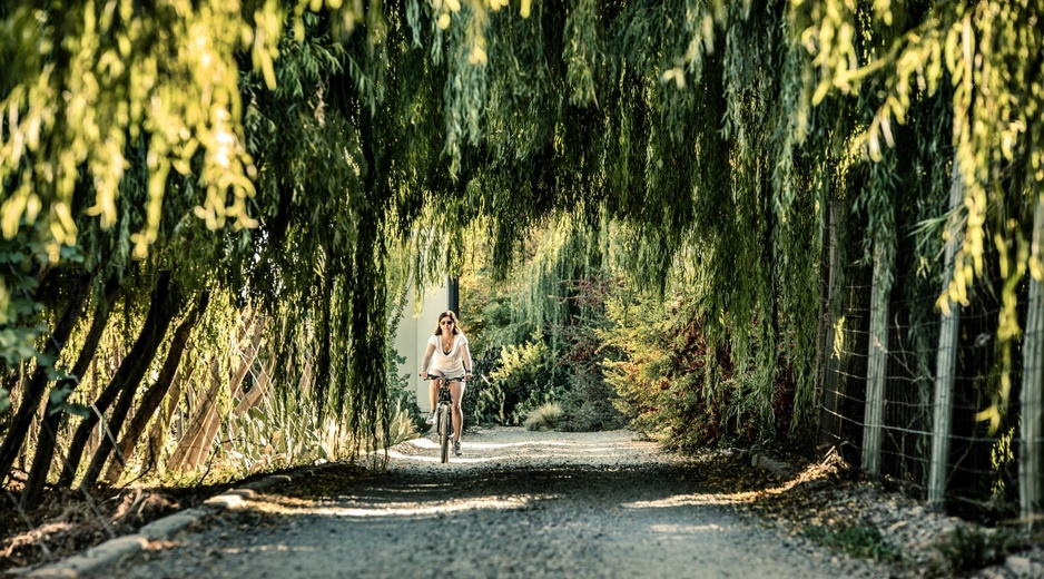 Cavas Wine Lodge Biking