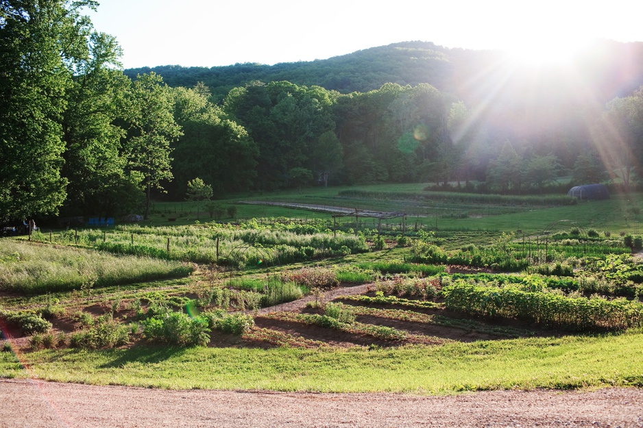 Blackberry Farm Vegetable Garden