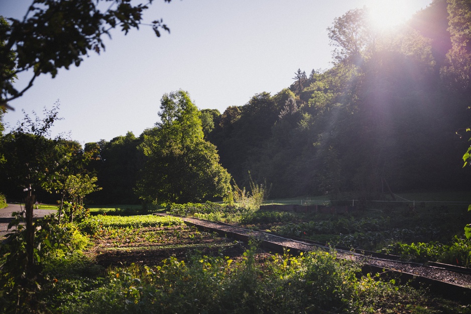 Grandhotel Giessbach's Vegetable Garden
