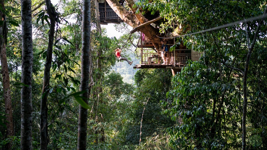 Gibbon Experience Treehouse Zipline