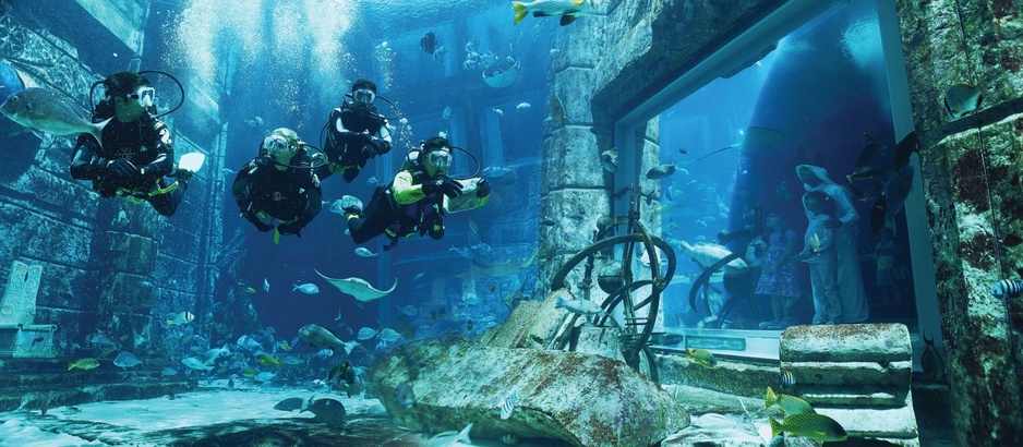 Lagoon