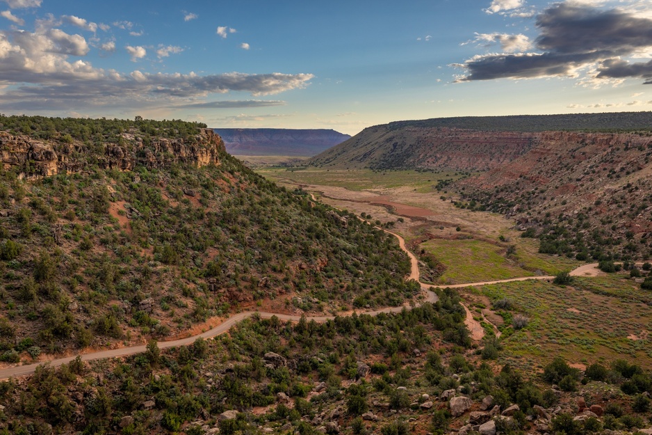 Dalton Wash Canyon