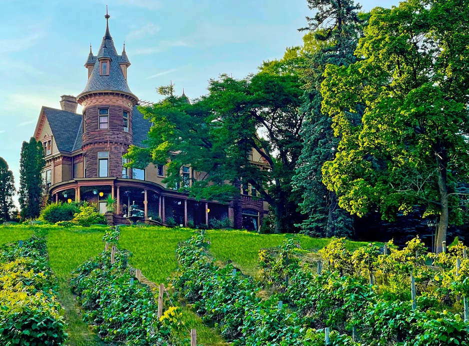 Henderson Castle Vineyards
