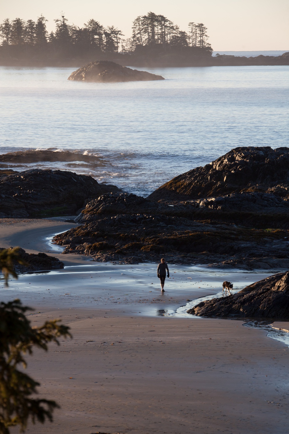 Chesterman Beach
