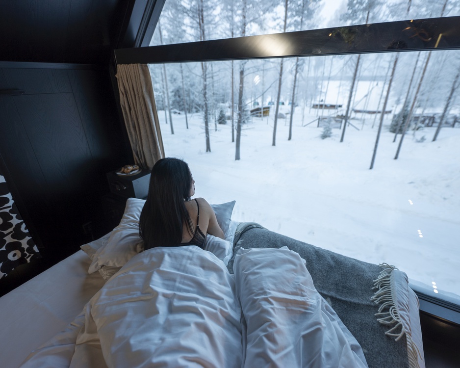 Aito Igloo & Spa Resort - Aurora Treehouse Bed Snow View