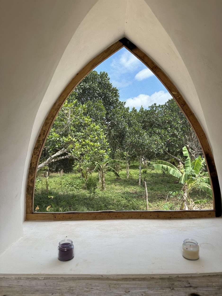 Dome at Jackfruit Jungle Paradise Bedroom Window With Jungle Views