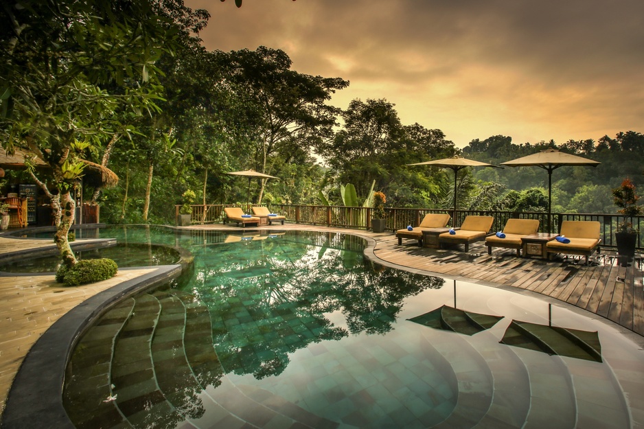 Nandini Jungle Resort Pool