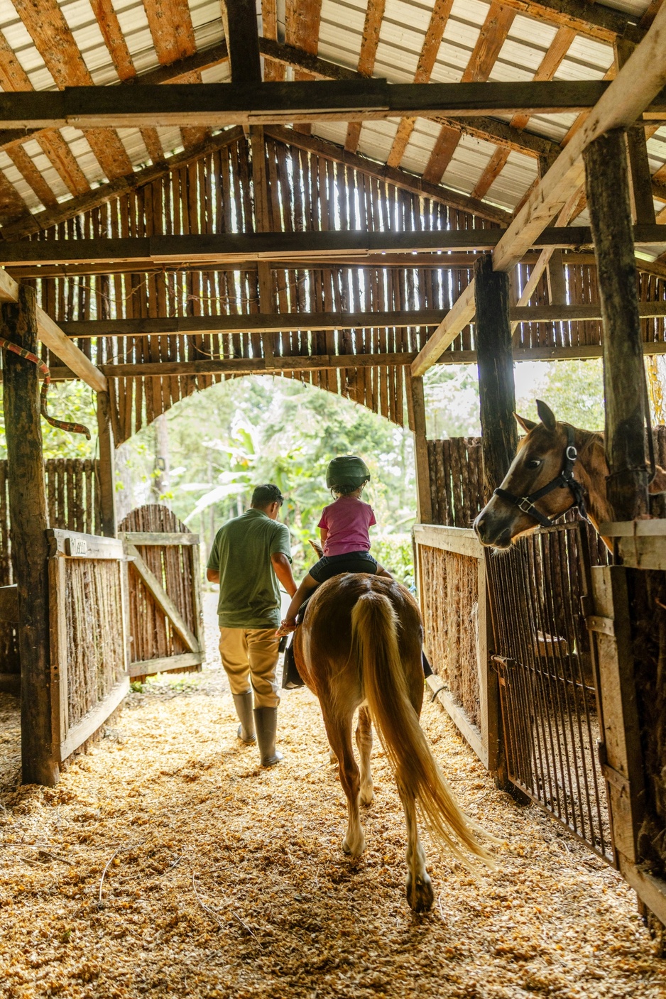 Blancaneaux Lodge - Horse Stable