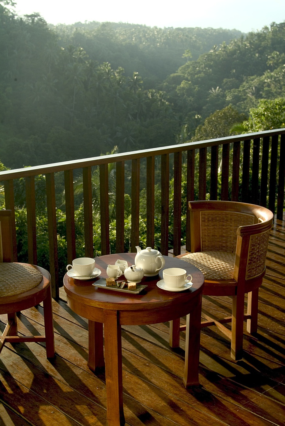 Alila Ubud high terrace view on nature of Bali
