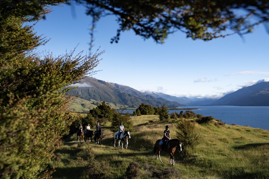 Horse Riding Tour