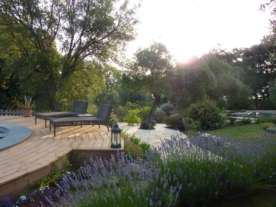 Morning sun at the pool at The Hoopoe Yurt Hotel