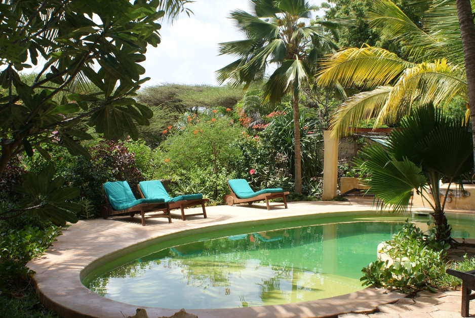 Banana House pool