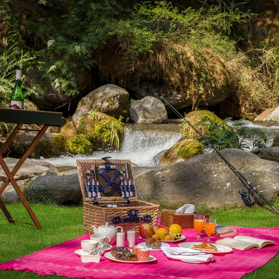 Picnic by the Beas River