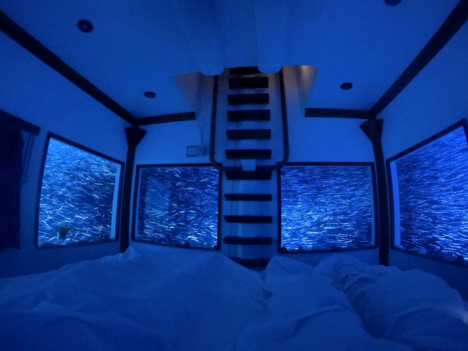 Underwater room from the outside with fish swimming around