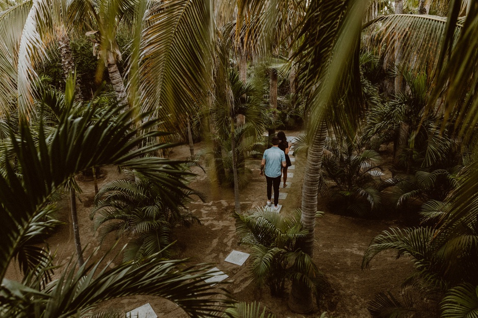 Acre Resort Jungle Pathway