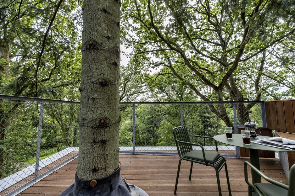 Lovtag Treetop Cabin Terrace