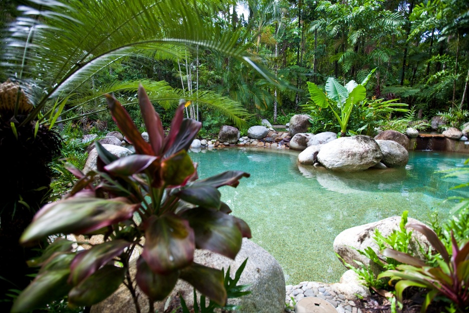 Silky Oaks Lodge swimming pool
