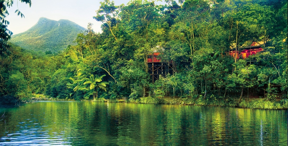 Silky Oaks Lodge - Sleep Inside The Lush Tropical Forests