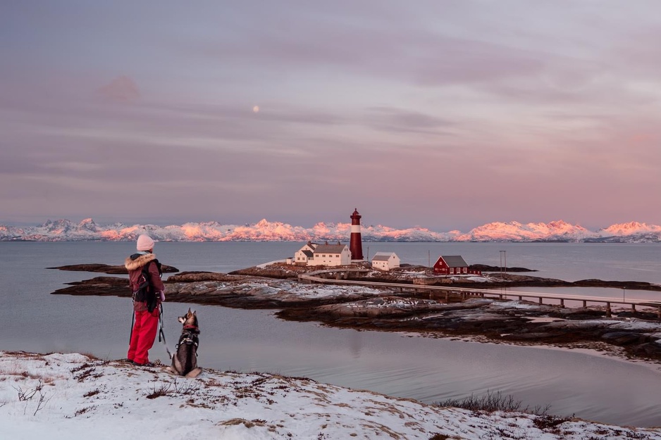 Husky Walk in Winter by the Tranøy Fyr Lighthouse