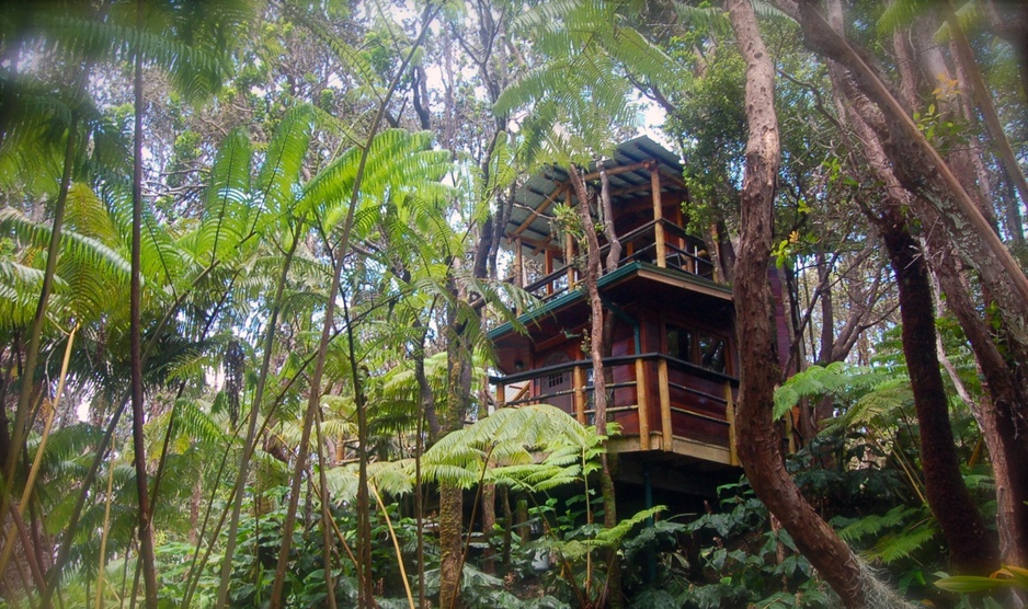 Mahinui Na Lani - Treehouse On A Volcano