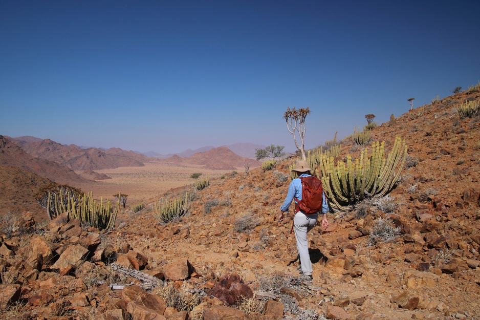 NamibRand Nature Reserve Nature Walks