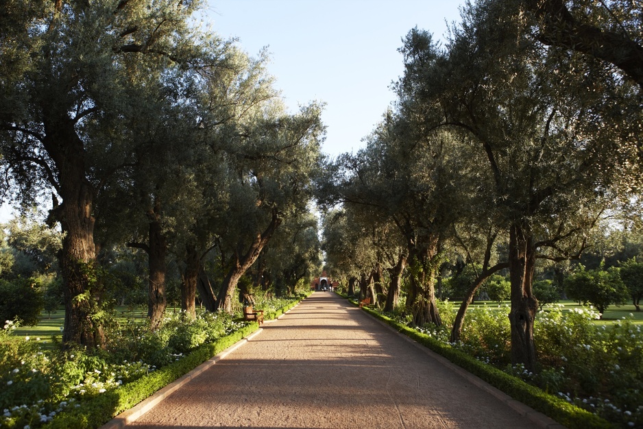 La Mamounia garden