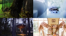 81 Most Unusual Hotels In The World