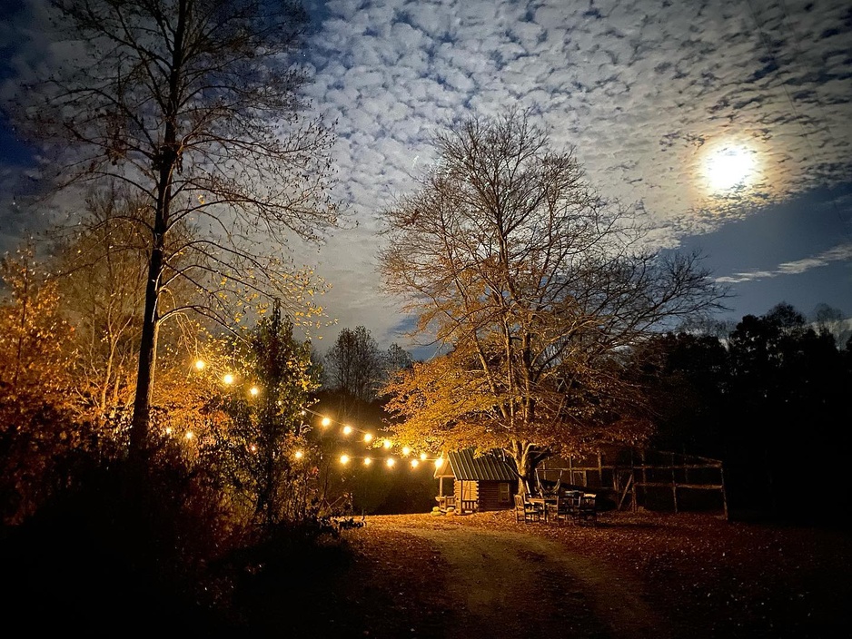Forest Gully Farms
