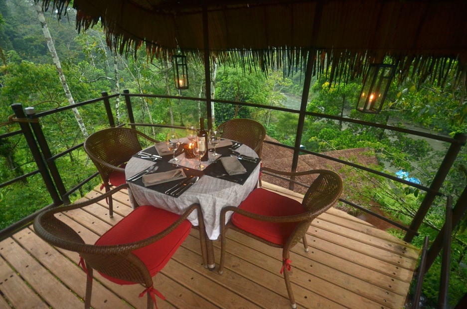 The Nest canopy dining