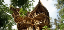 Green Village Bali - Giant Bamboo Houses