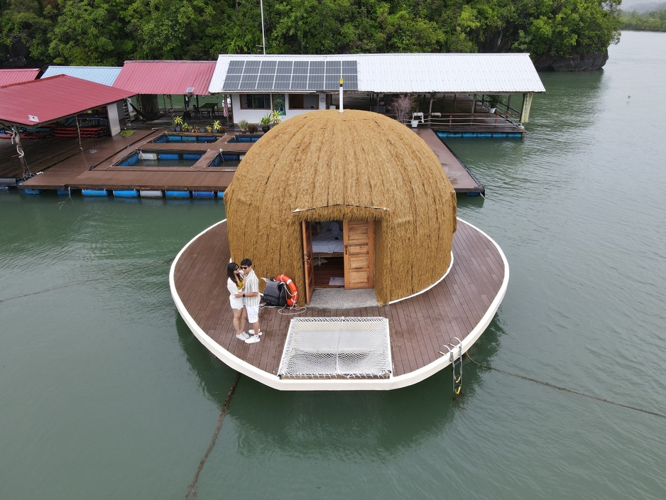 Coconest From Above