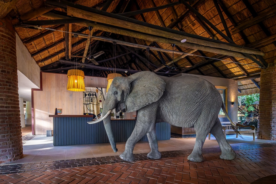 Mfuwe Lodge Elephant in the Lobby