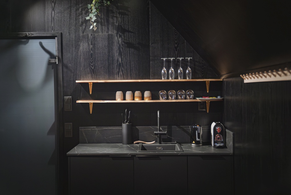 Aito Igloo & Spa Resort - Aurora Treehouse Kitchen