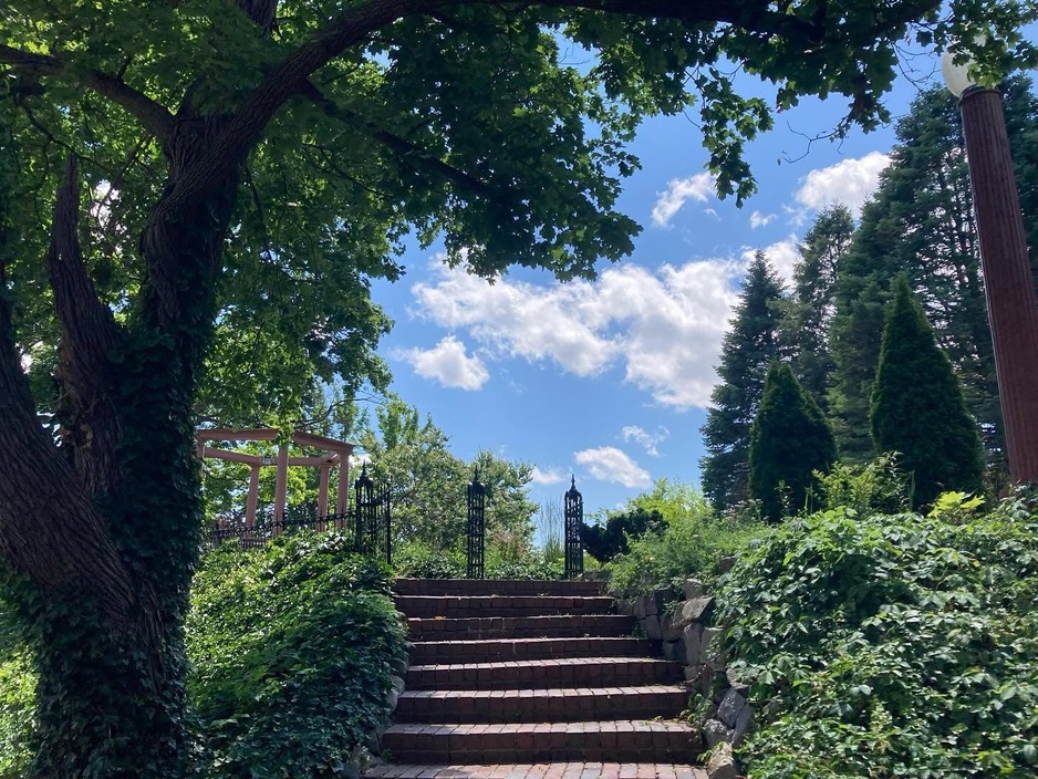 Henderson Castle's Lush Garden