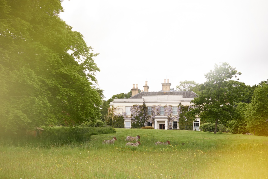 Lime Wood Hotel Autumn external photo