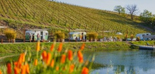 The Trailer Pond – Happy Vintage Trailers & Great Wine