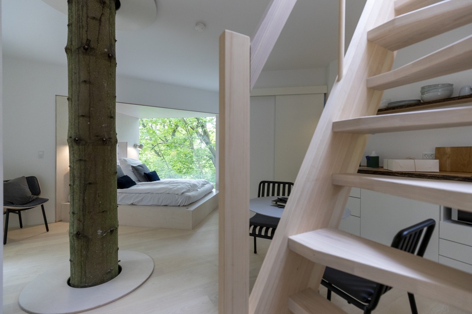 Lovtag Treetop Cabin Ladder