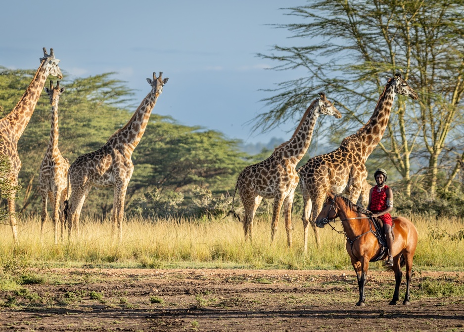 Wild Hill, Kenya - Giraffes and Horse Riding