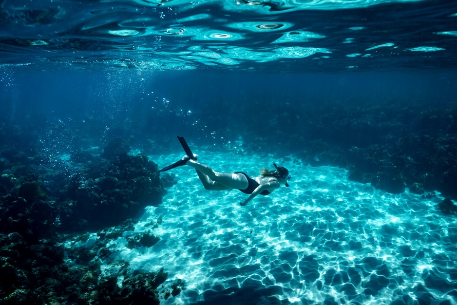 Lord Howe Island Reef explorations