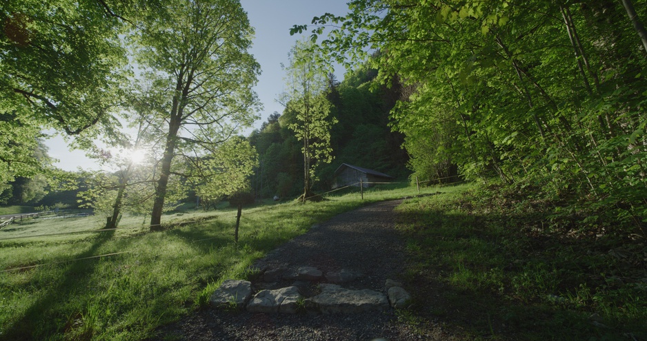 Trekking trails