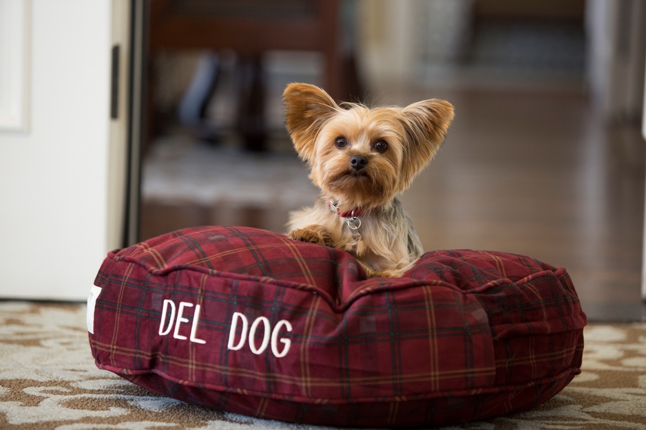 Hotel del Coronado Dog Pillow