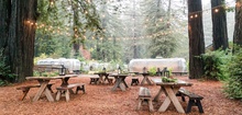 AutoCamp Russian River - Glamping Among Sequoia Trees