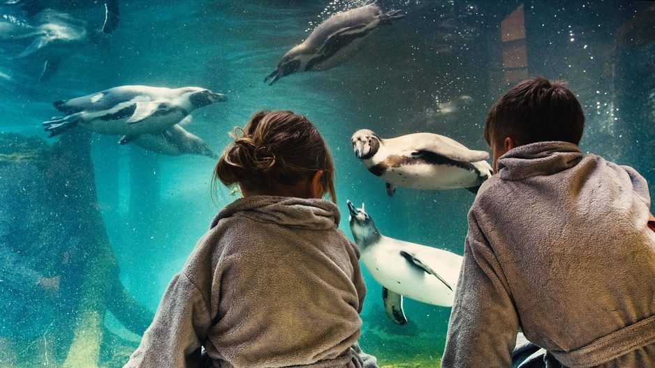 Spreewelten Penguin World