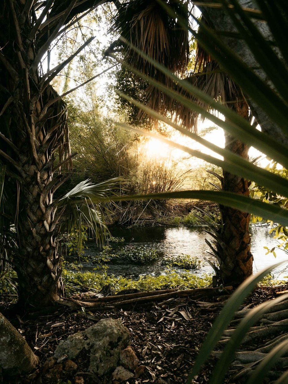 Pyramids in Florida Jungle Park