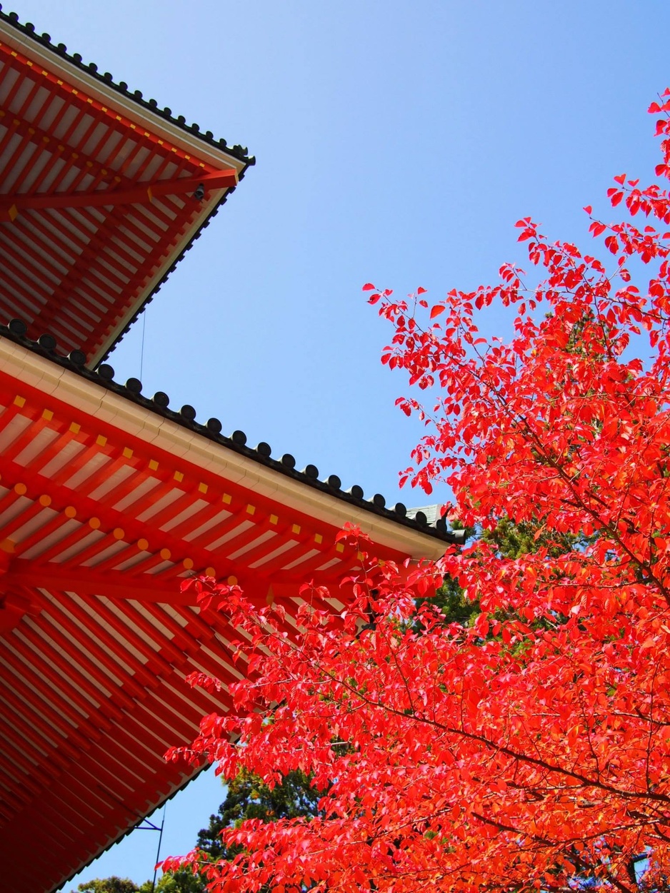 Koyasan Saizen-in Temple Traditional Architecture